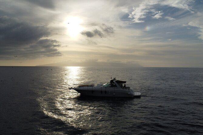 4 Hour Boat Tour with Snorkeling from Puerto Rico and Mogan - FAQ
