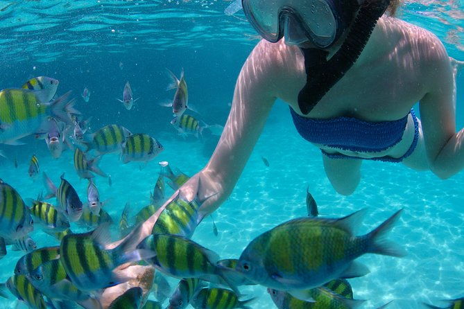 4-hour-catamaran-sail-and-snorkel-tour-from-grace-bay