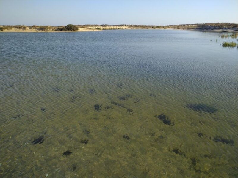 4-hour-classic-boat-cruise-ria-formosa-natural-park-olhao