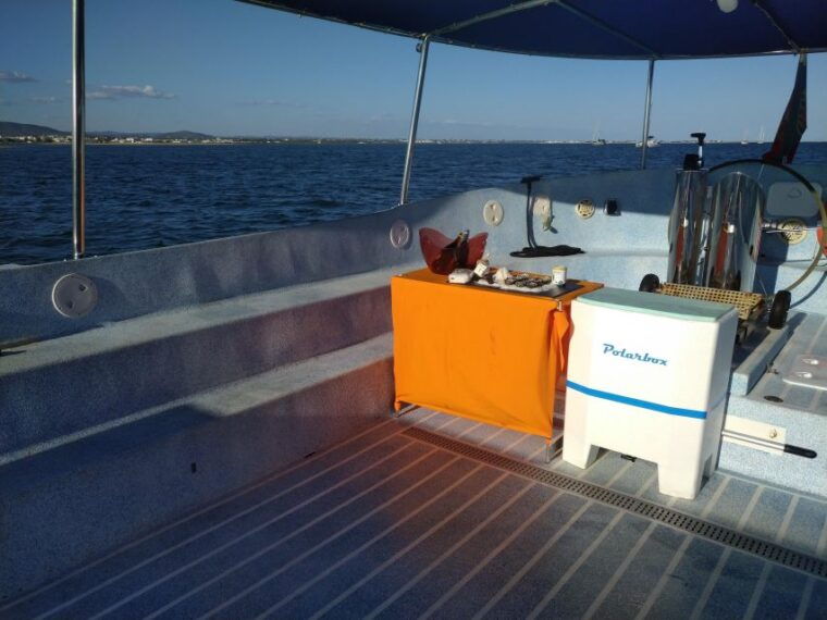 4-hour-classic-boat-cruise-ria-formosa-natural-park-olhao