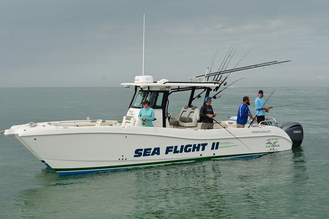 4-hour-deep-sea-split-charter-with-experienced-captain