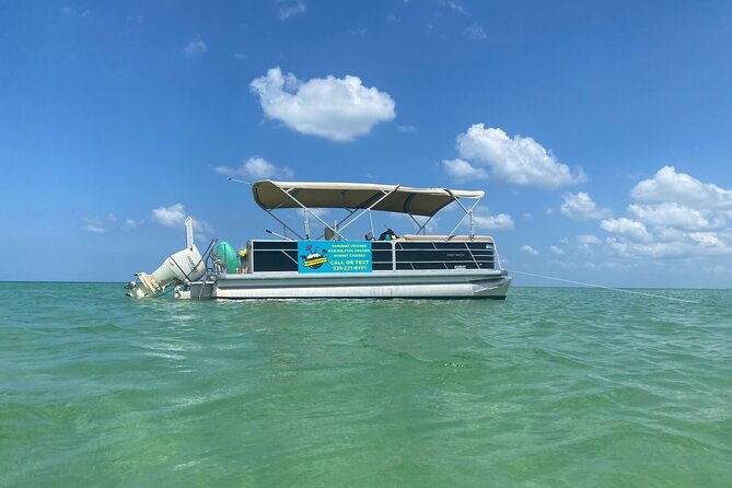 4-hour-dolphin-and-sandbar-cruise