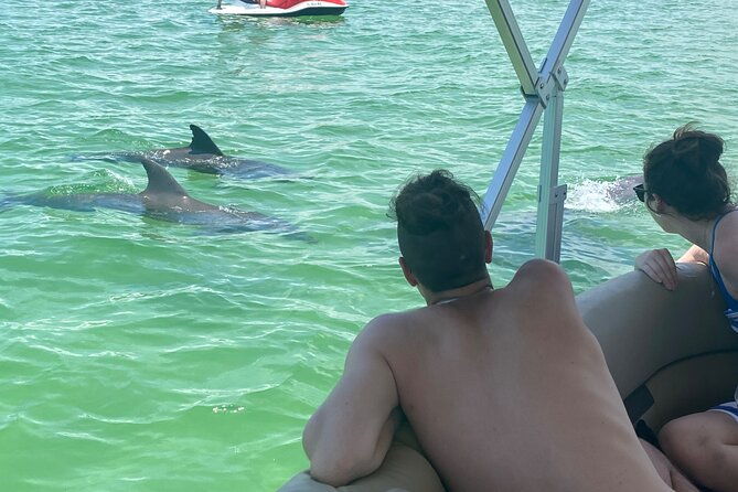 4-hour-dolphin-and-sandbar-cruise