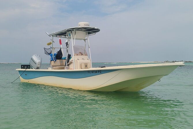 4-hour-eco-dolphin-tour-in-panama