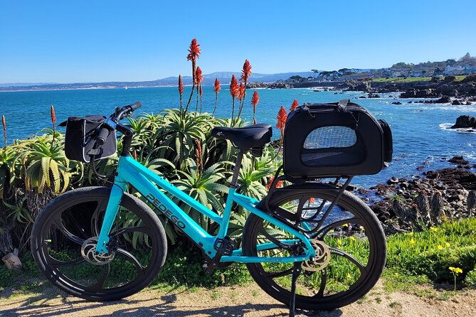 4-hour-electric-bike-rental-on-17-mile-drive