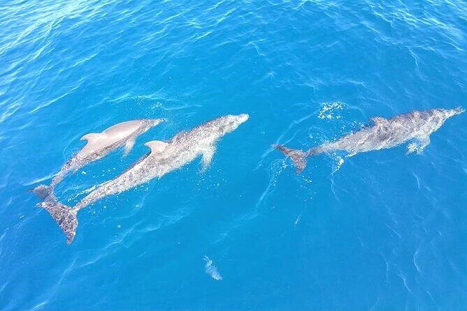 4-Hour Fort Lauderdale Sailing Charter - Authentic Experiences from Reviews