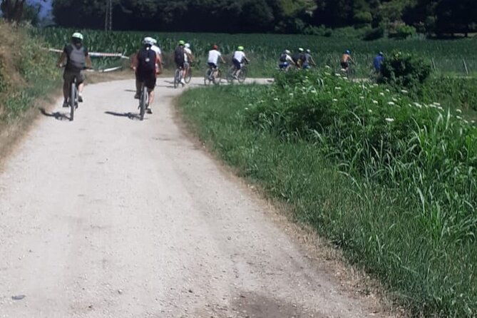 4-hour-guided-e-bike-tour-of-the-two-wineries-in-bardolino