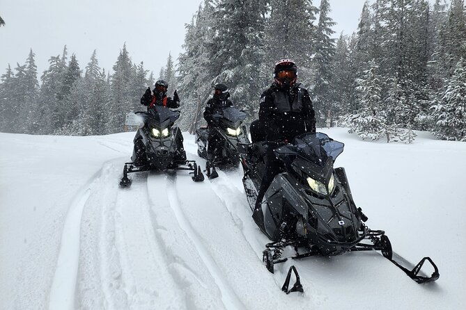 4-hour-guided-scenic-national-monument-snowmobile-tour-in-bend