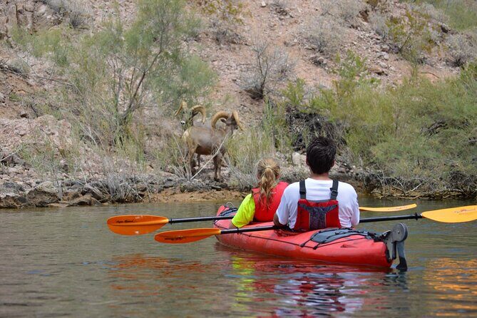 4-Hour Kayak Deluxe Tour in Emerald Cave with Catered Lunch - What To Expect on the Tour