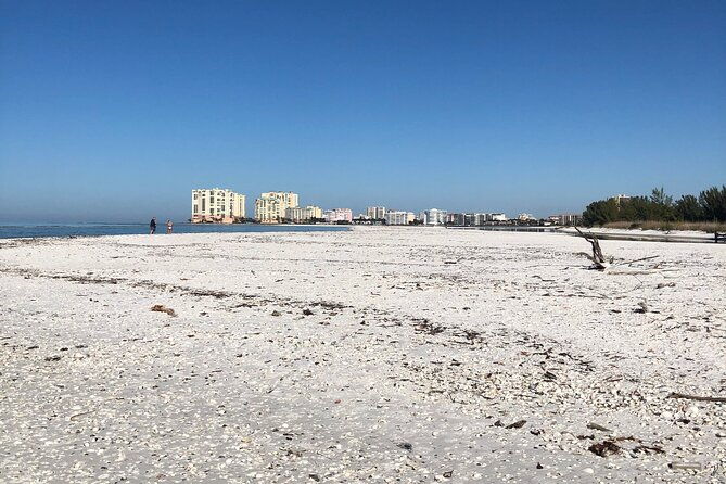 4-hour-kice-island-shelling-trip