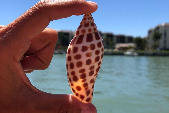 4-hour-kice-island-shelling-trip