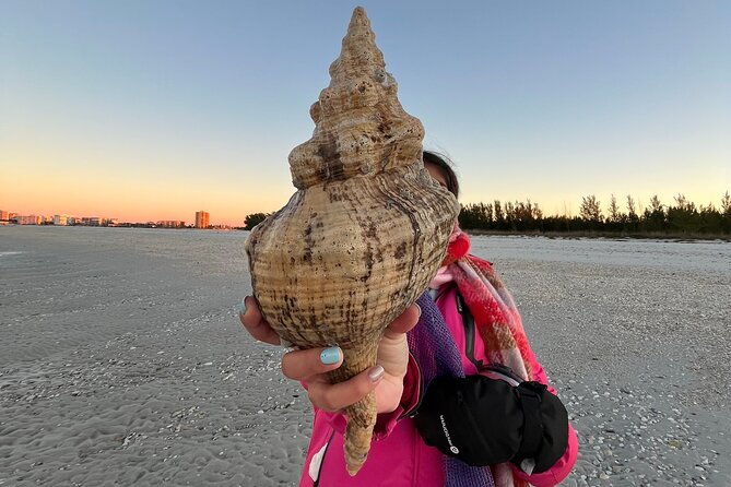 4-hour-kice-island-shelling-trip