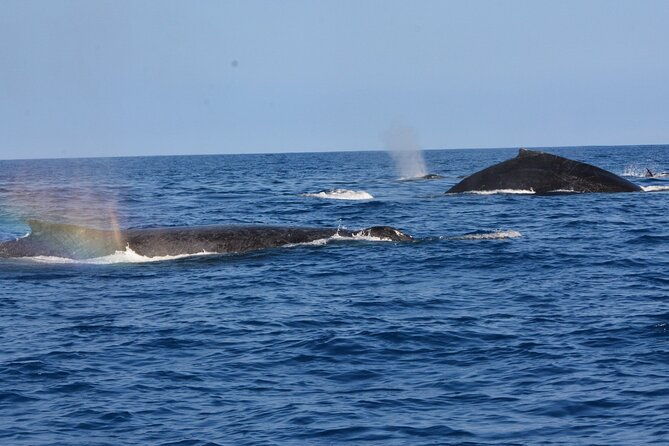 4-hour-kona-private-charter