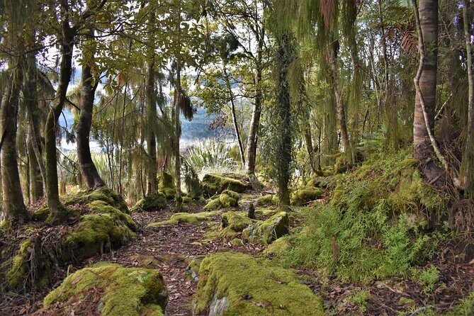 4-hour Lake Mapourika Kayak and Hike adventure, with Okarito Kiwi Sanctuary - Final Thoughts