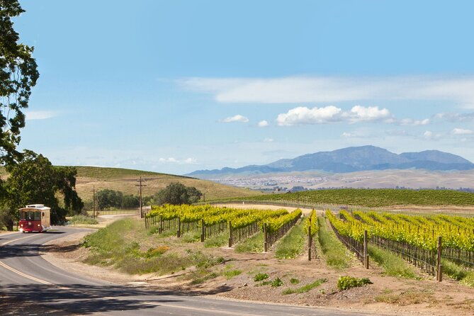 4-hour-livermore-valley-wine-tour-2