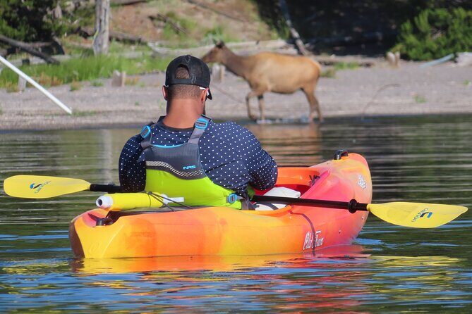 4-Hour Morning Kayak on Yellowstone Lake with Lunch - Frequently Asked Questions