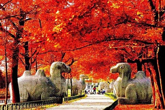 4-Hour Nanjing City Private Tailor-Made Tour in Your Way - Exploring the 4-Hour Nanjing Private Tour in Detail