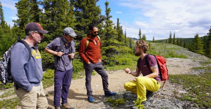 4-hour-off-trail-wilderness-wonders-tour-in-denali