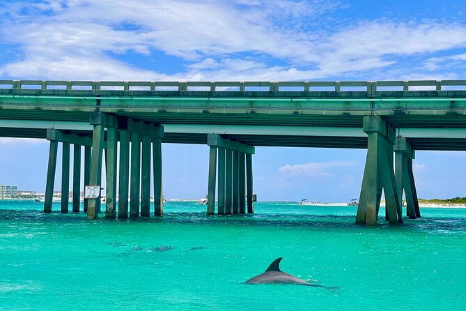 4-hour-pontoon-rental-from-crab-island