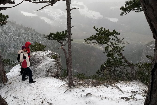 4-Hour Private Alpine Great George at High Wall Mountain from Vienna - Who Should Consider This Tour?