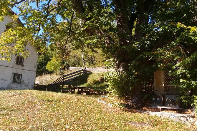 4-hour-private-alpine-hiking-tour-matterhorn-of-the-prealps-2