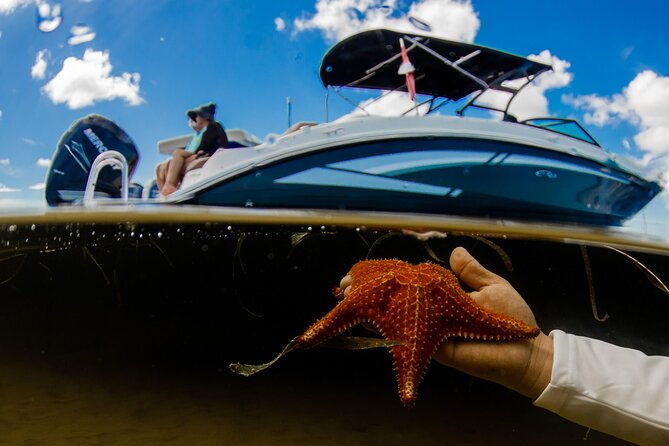 4-hour-private-boat-charter-to-stingray-city-snorkeling-and-more