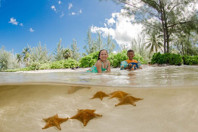 4-hour-private-boat-charter-to-stingray-city-snorkeling-and-more