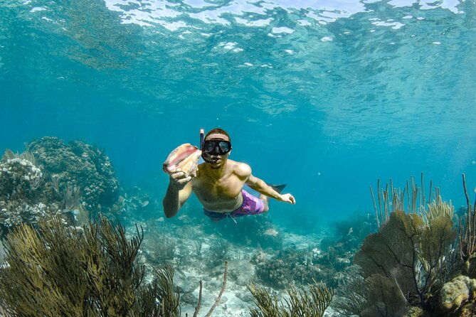 4-hour-private-boat-charter-to-stingray-city-snorkeling-and-more