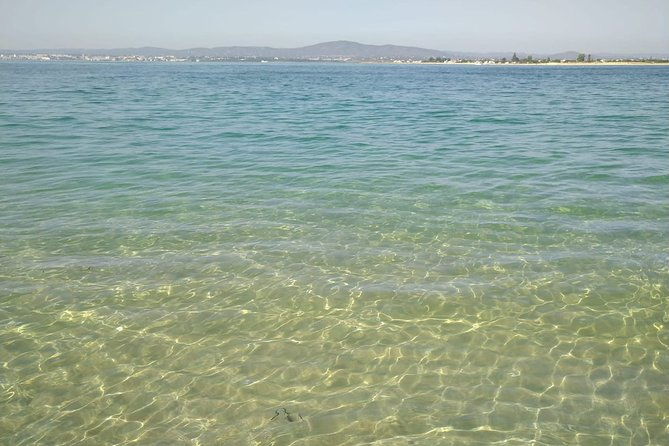 4-hour-private-boat-tour-in-ria-formosa