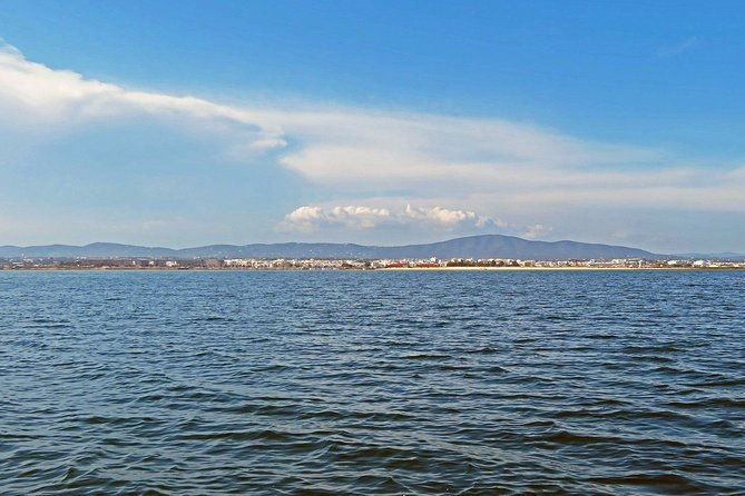 4-hour-private-boat-tour-in-ria-formosa