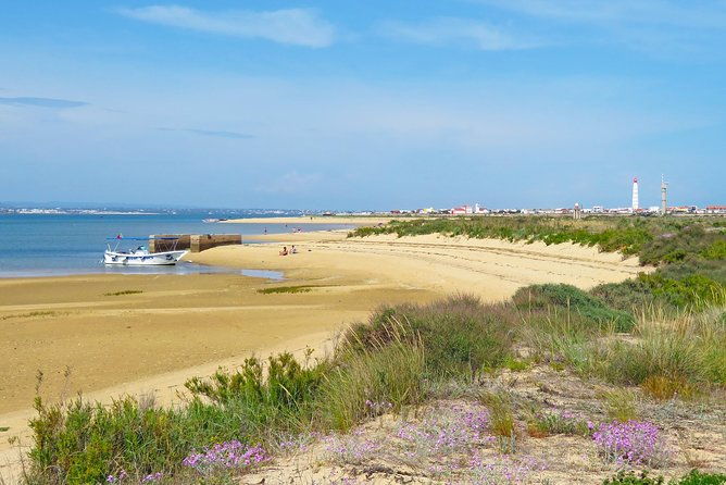4-hour-private-boat-tour-in-ria-formosa