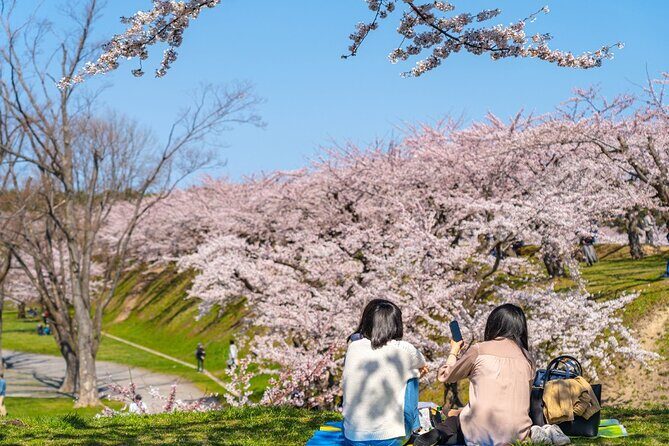 4 Hour Private Cherry Blossom "Sakura" Experience in Nagasaki - A Detailed Look at the Nagasaki Cherry Blossom Tour