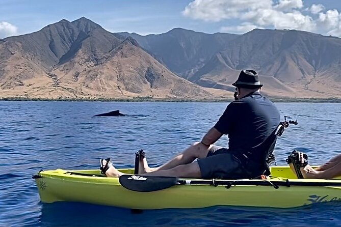 4-hour-private-custom-kayak-tour-lahaina-2