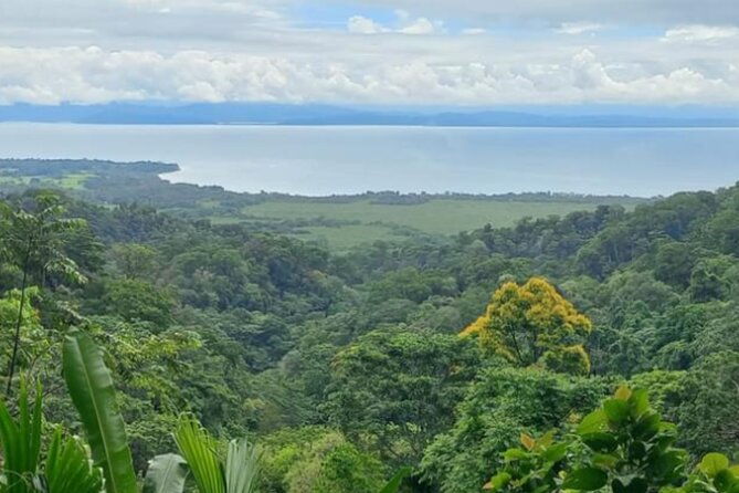 4-hour-private-guided-tour-in-osa-jungle