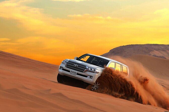 4-Hour Private Morning Desert Safari Jeep Admiring Desert Flora and Fauna - In-Depth Look at the 4-Hour Private Desert Safari