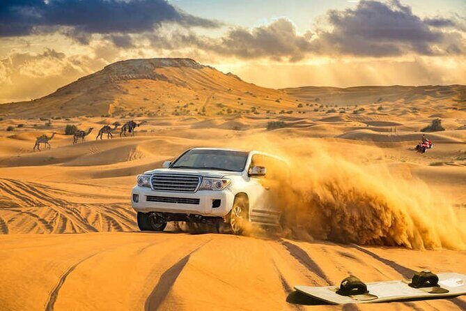 4-Hour Private Morning Desert Safari Jeep Admiring Desert Flora and Fauna - Transportation, Timing, and Group Size