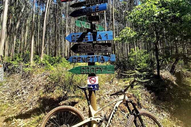 4-hour-private-mtb-enduro-trail-tour-in-sintra-mountain