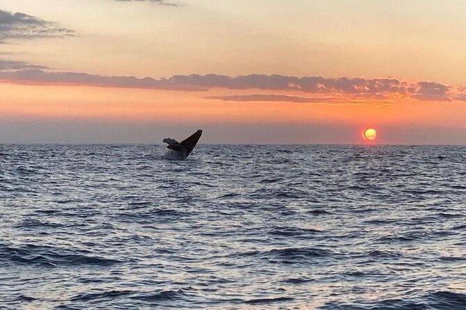 4-hour-private-sunset-fishing-charter