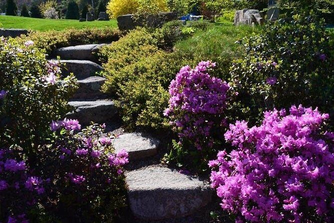 4 Hour Private Tour: Explore Acadia Nat'l Park, Fjord & Mansions - A Deep Dive into the Tour Experience