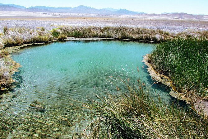 4-hour-private-tour-in-hidden-hot-springs-outside-death-valley