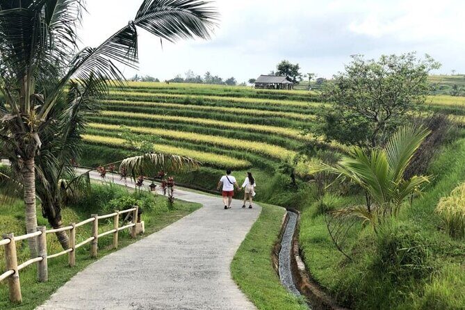 4-Hour Private Tour in Jatiluwih Terraces and Butterfly Park - Practical Aspects of the Tour