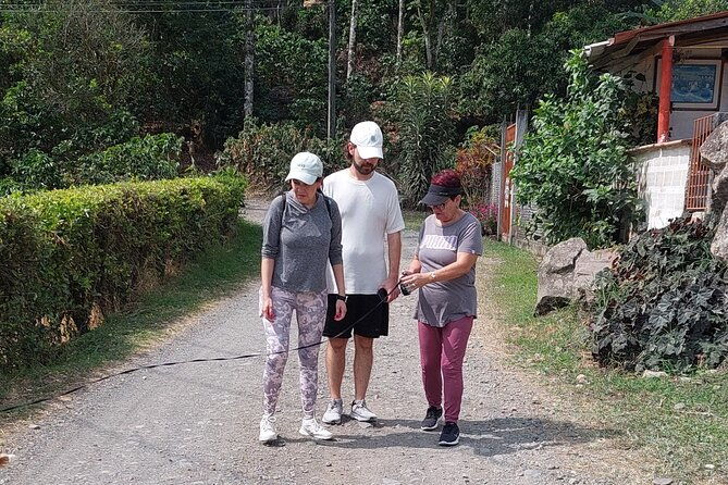 4-hour-private-walking-tour-along-ruta-de-las-flores