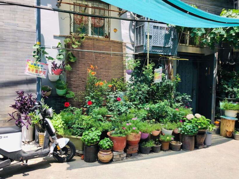 4-hour-private-walking-tour-of-lama-temple-and-hutong