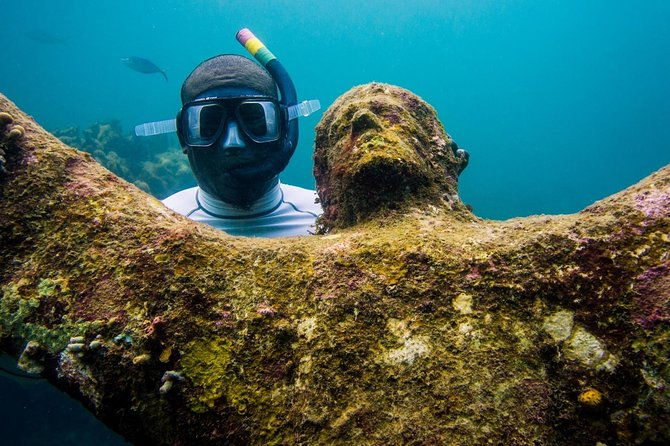 4-hour-snorkel-cruise-to-underwater-sculptures-with-boat-dogs