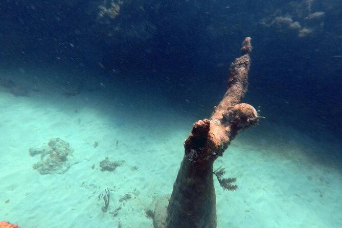 4-hour-snorkel-cruise-to-underwater-sculptures-with-boat-dogs