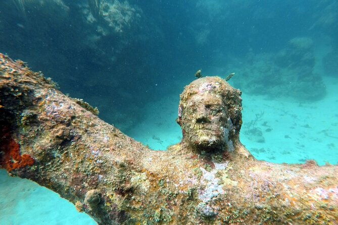 4-hour-snorkel-cruise-to-underwater-sculptures-with-boat-dogs