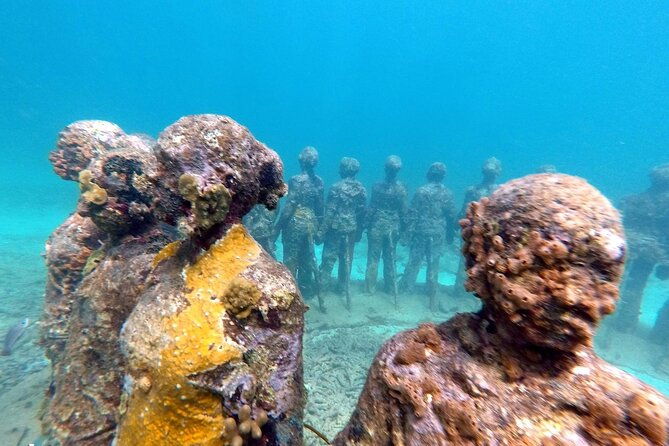 4-hour-snorkel-cruise-to-underwater-sculptures-with-boat-dogs