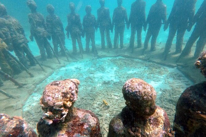 4-hour-snorkel-cruise-to-underwater-sculptures-with-boat-dogs
