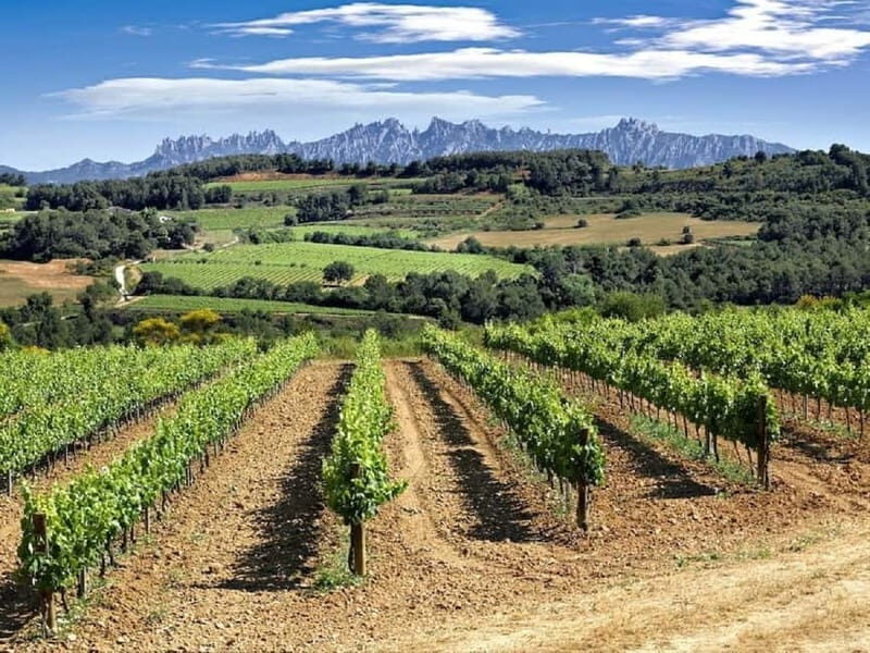 4-Hour Supercar Route to a Catalan Winery from Barcelona - Key Points