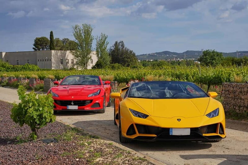 4-Hour Supercar Route to a Catalan Winery from Barcelona - Practical Tips